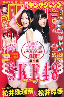 乾隆王朝演员表全部